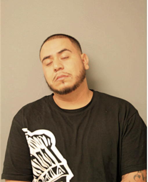GUSTAVO DELATORRE, Cook County, Illinois