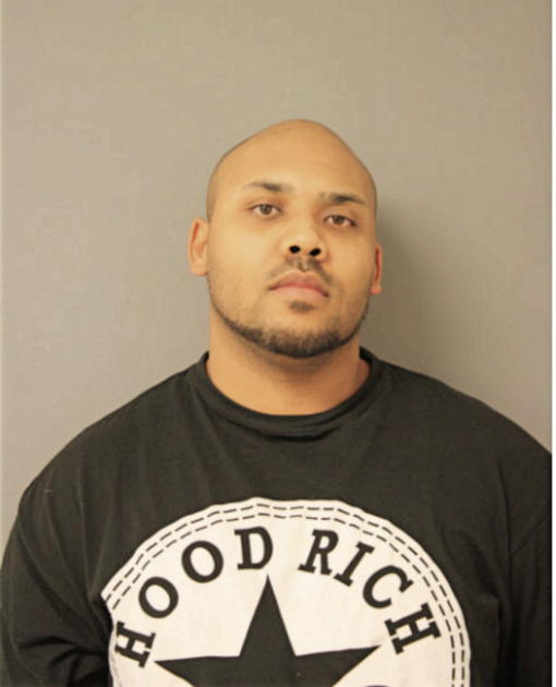 MICHAEL T DIGGS, Cook County, Illinois