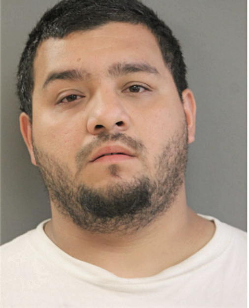 NESTOR E VILLAGOMEZ, Cook County, Illinois