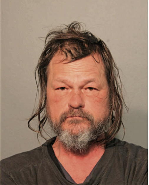 STEVEN A FRIBERG, Cook County, Illinois