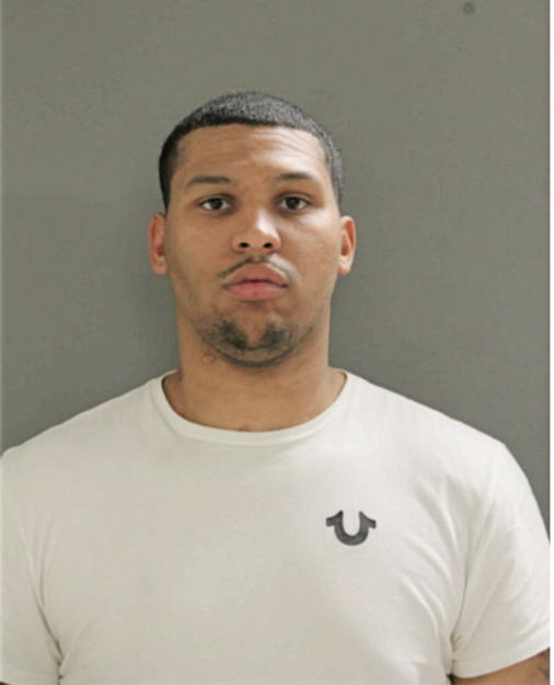 CHRISTOPHER M FRY, Cook County, Illinois
