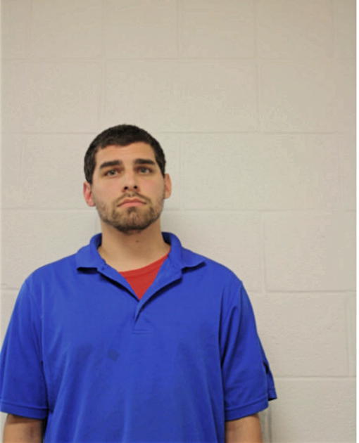 NICHOLAS J GALFI, Cook County, Illinois