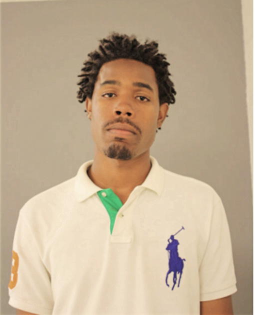 RICHARD A KING, Cook County, Illinois
