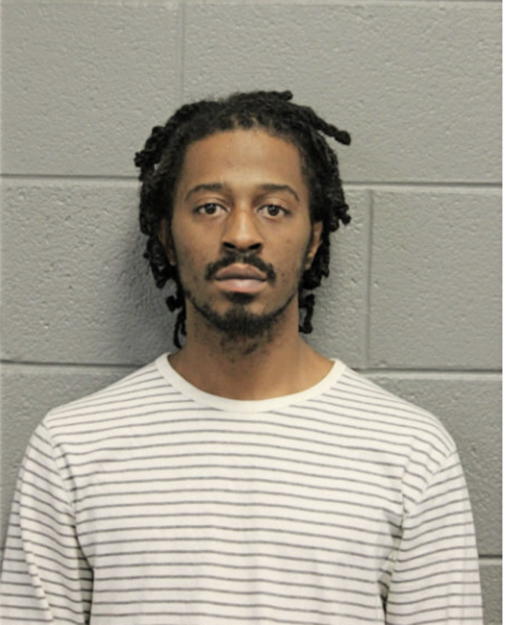 NATHAN J LANGSTON, Cook County, Illinois