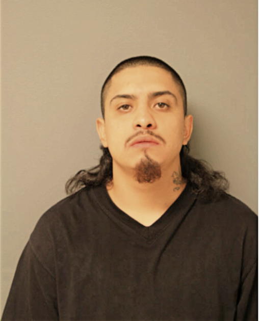DAVID LOPEZ, Cook County, Illinois