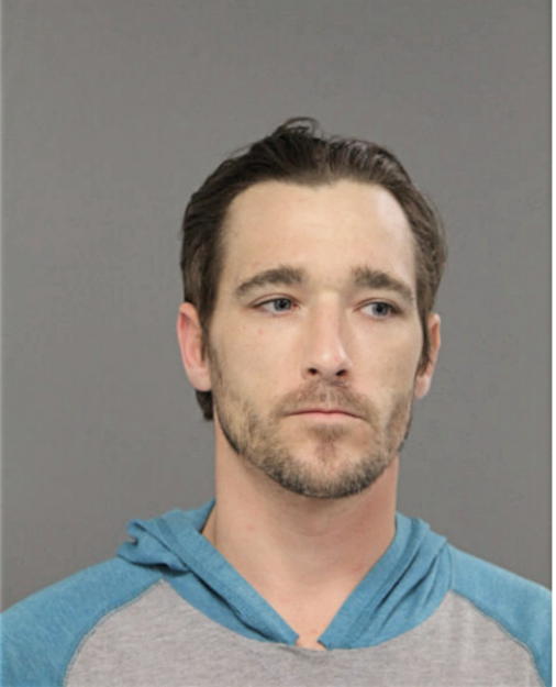 BRIAN M MATESEVAC, Cook County, Illinois