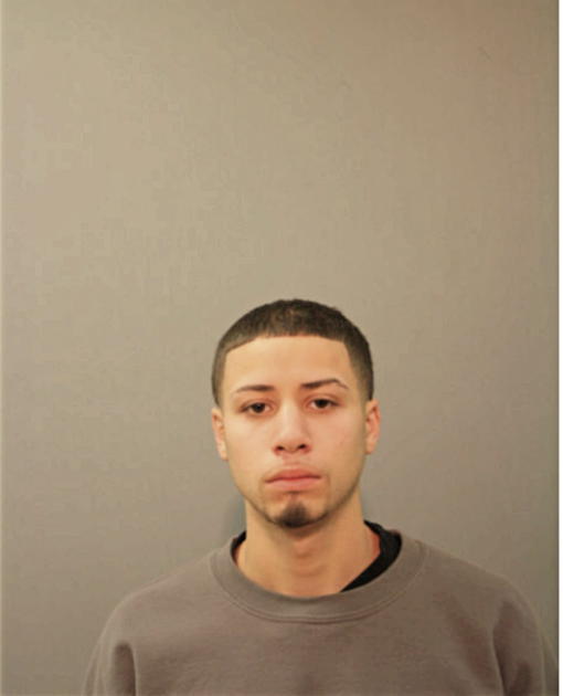 HECTOR L NEVAREZ, Cook County, Illinois