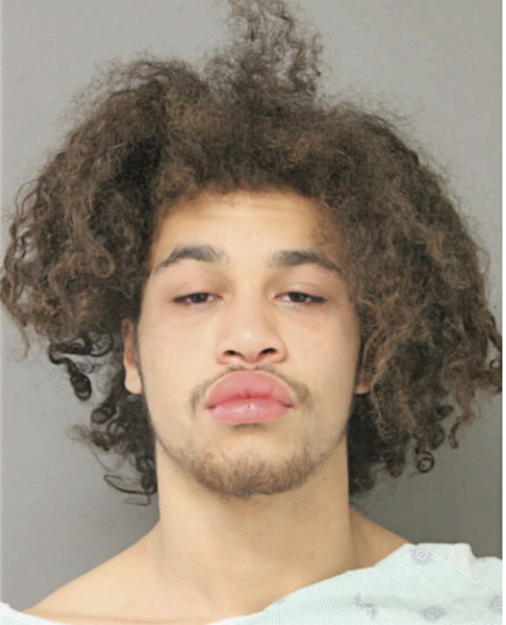 HERIBERTO J OCANA, Cook County, Illinois