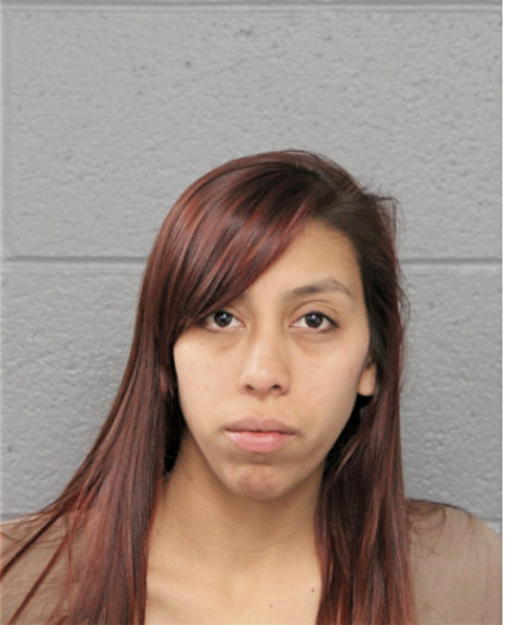 ARACELY ORTEGA, Cook County, Illinois
