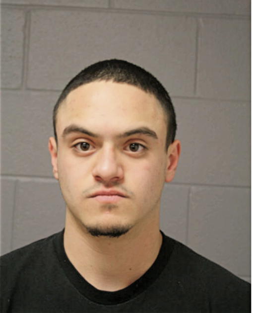 NICOLAS R ROSARIO, Cook County, Illinois