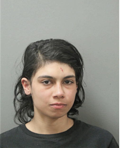 ANGELISA RUIZ, Cook County, Illinois