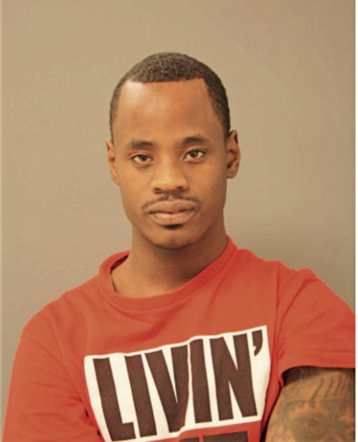 MICHAEL A SMITH, Cook County, Illinois