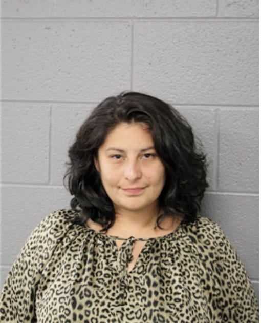 LIZA M TREVINO, Cook County, Illinois