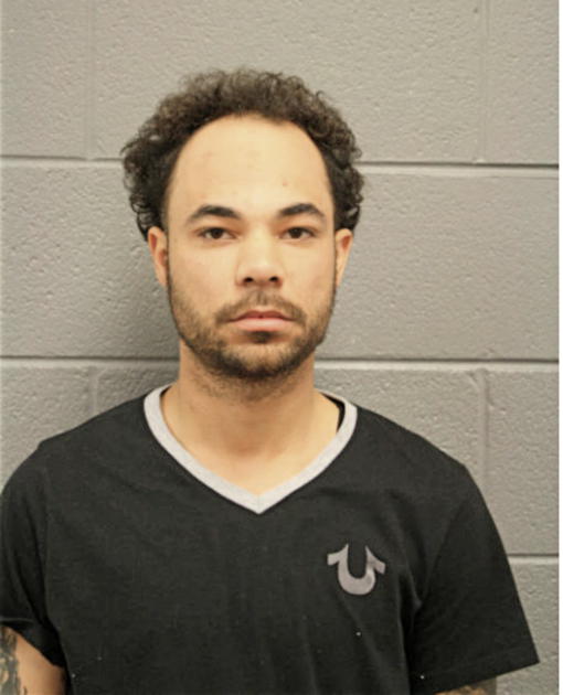 MICHAEL C UNTIEDT-JONES, Cook County, Illinois