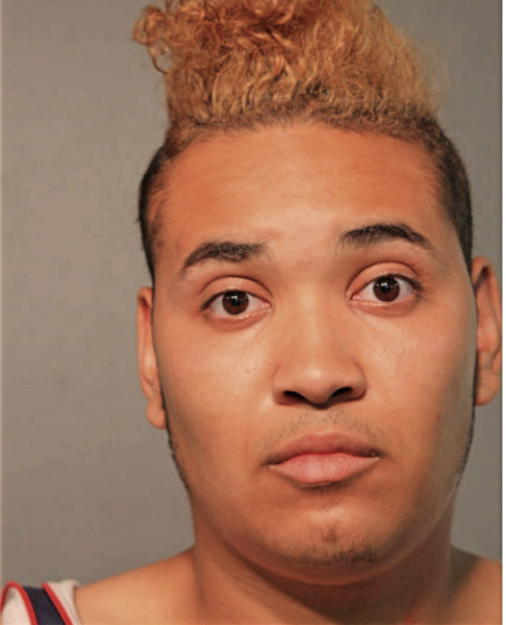 ADAM T VASQUEZ, Cook County, Illinois