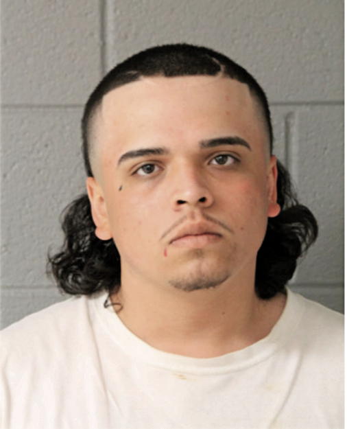 EDUARDO VENEGAS, Cook County, Illinois