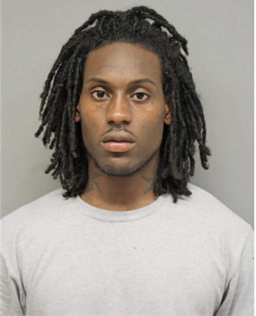 TIMOTHY J WILLIAMS, Cook County, Illinois