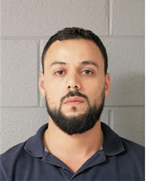 MOATH A ALHAMADEEN, Cook County, Illinois