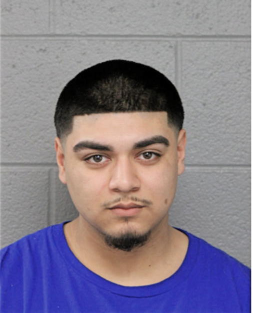 ANGEL B ARCE, Cook County, Illinois