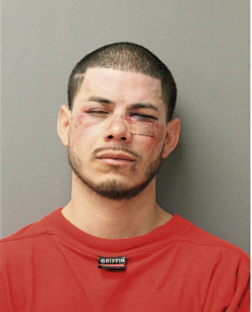 ALAN J ARIAS, Cook County, Illinois