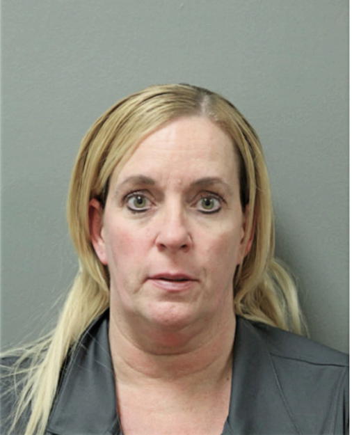 KAREN A BERTUCCI, Cook County, Illinois