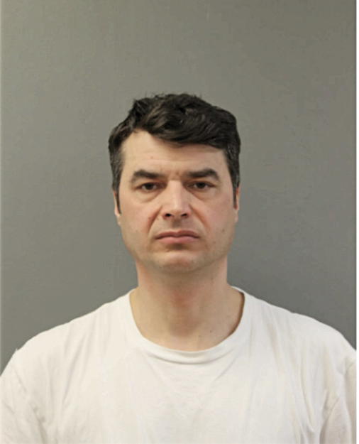 ANDRZEJ K BOROWIEC, Cook County, Illinois