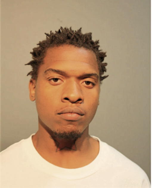 DIONTE D BROWN, Cook County, Illinois