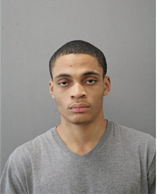 DAVID E CARROLL, Cook County, Illinois