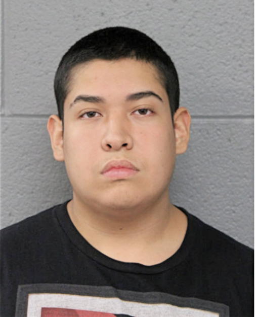 CRISTIAN CELIS, Cook County, Illinois