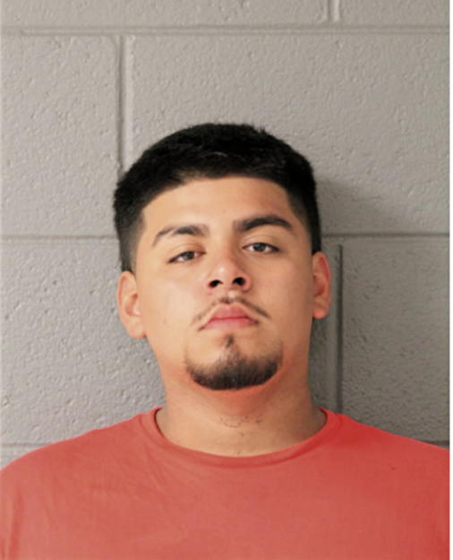 DAMIEN A CHAVEZ, Cook County, Illinois