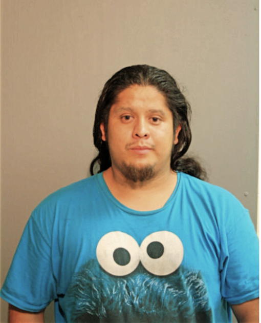 JESUS ERNESTO GARCIA, Cook County, Illinois