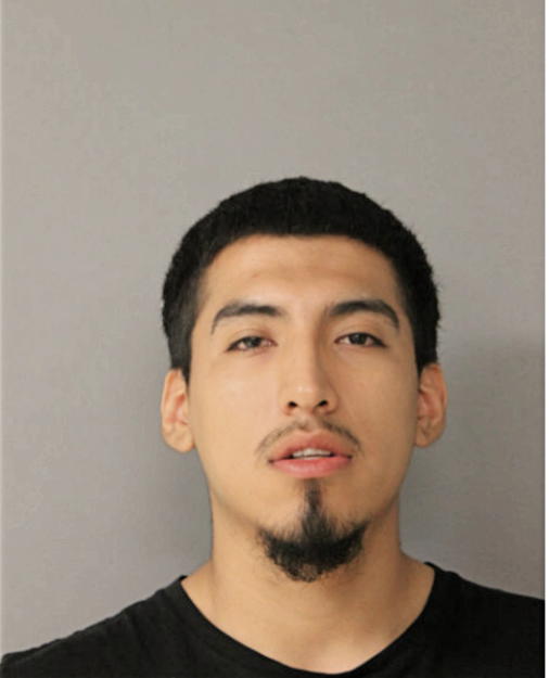 DAVID FLORES, Cook County, Illinois