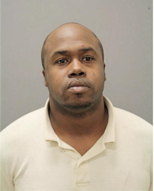 DAVID A FORD, Cook County, Illinois