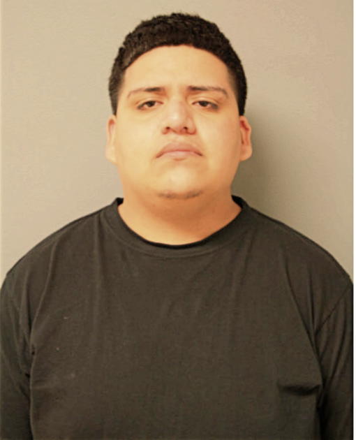 RAUL C GARCIA, Cook County, Illinois
