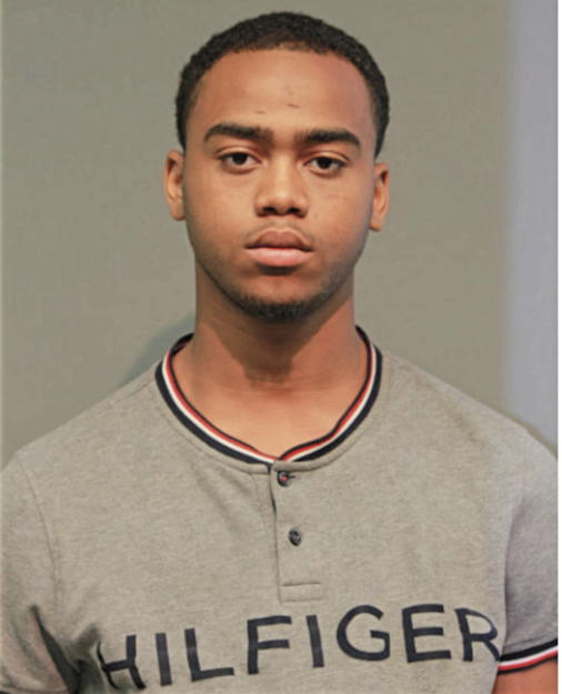 LAJON M HAYES, Cook County, Illinois