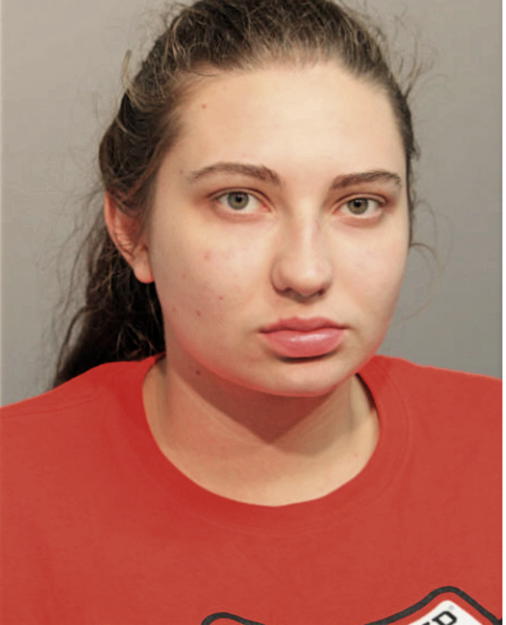 SABINA HODZIC, Cook County, Illinois