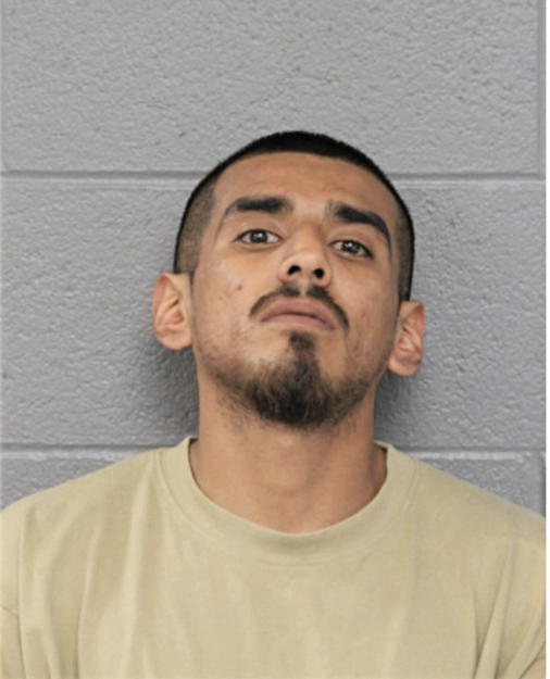 FERMIN OCAMPO-TELLEZ, Cook County, Illinois