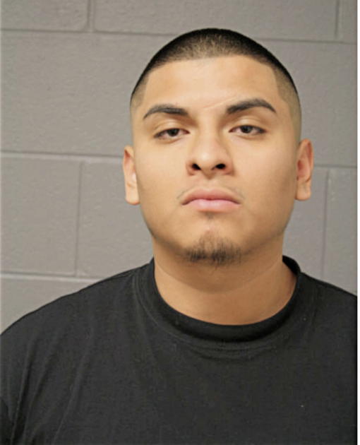 NESTOR I OCHOA, Cook County, Illinois