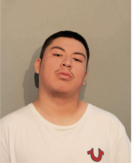 MICHAEL PITA, Cook County, Illinois