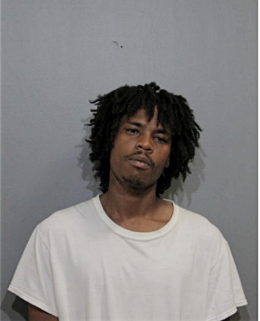 ROY I ROBINSON, Cook County, Illinois