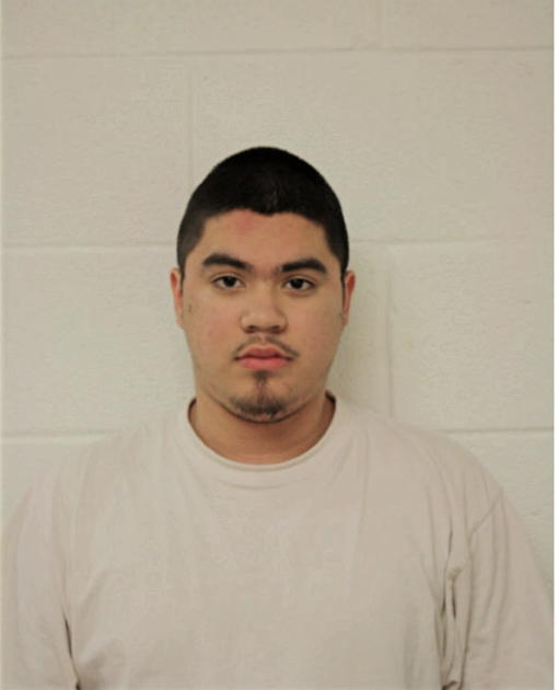 MICHAEL J ROSALES, Cook County, Illinois