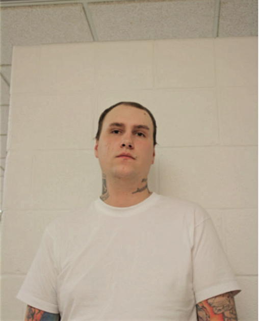 DANIEL T SCHMIDT, Cook County, Illinois