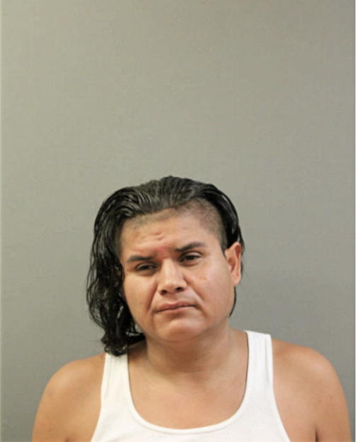 ALEXANDER TORRES, Cook County, Illinois