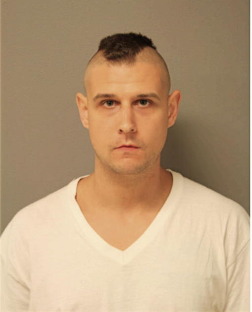 MICHAEL A VALEO, Cook County, Illinois