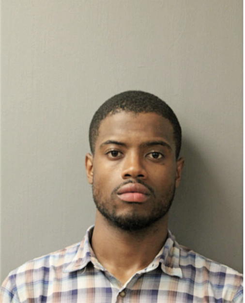 BRANDON A YOUNG, Cook County, Illinois