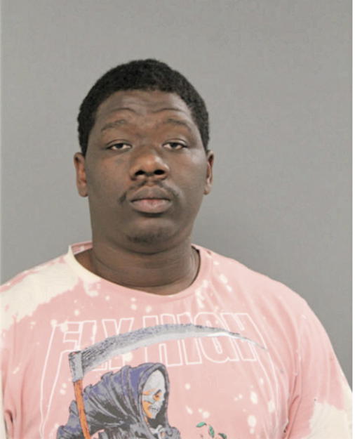 MICHAEL G YOUNG, Cook County, Illinois
