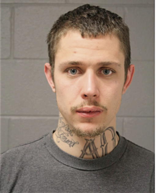 KEVIN J BARNES, Cook County, Illinois