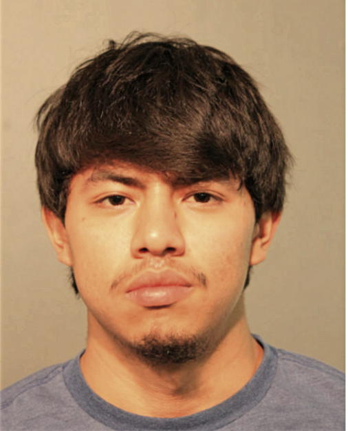ERICK H BONILLA, Cook County, Illinois