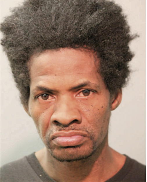 VINCENT D BRIDGES, Cook County, Illinois
