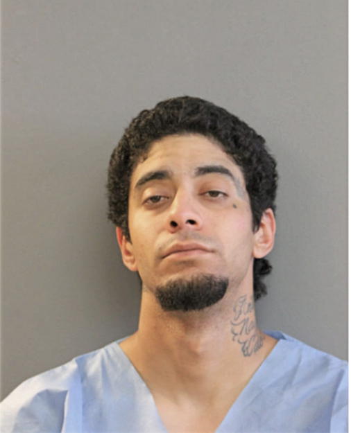 CHRISTIAN A CALO, Cook County, Illinois
